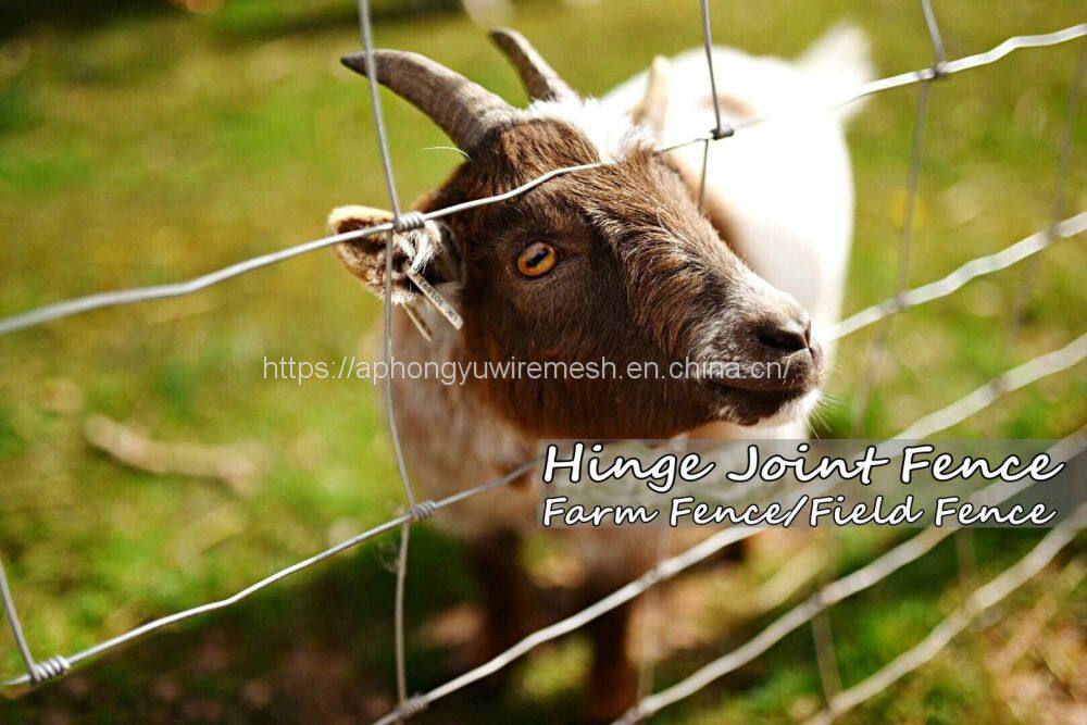 gettyimages-713858427-2048x2048