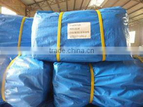 Qingdao Yinshan Import & Export Co., Ltd. company overview - view 2
