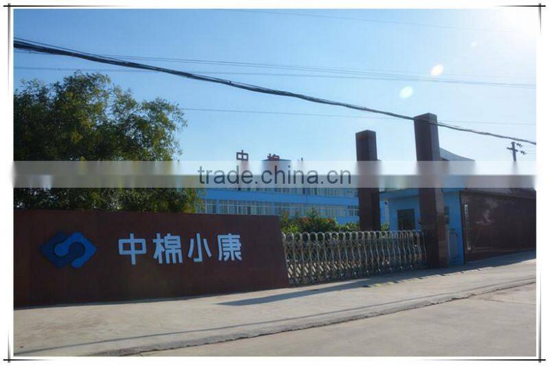 Anyang City Xiaokang Pesticide Co., Ltd. company overview - view 1
