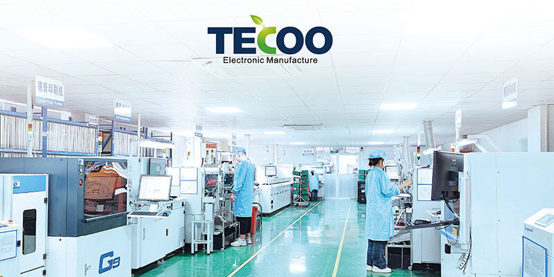 Tecoo Electronics Co., Ltd. company overview - view 1