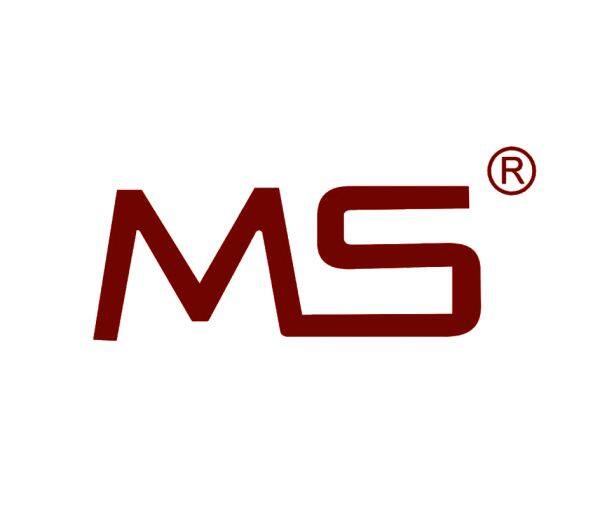 Guangdong Mingsheng company overview - view 1