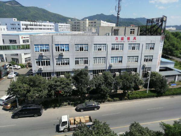 Taizhou Huangyan Lisheng Mould Co.,ltd. company overview - view 1