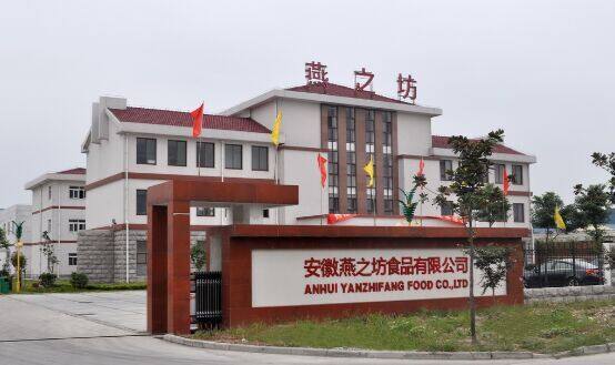 Anhui Yanzhifang Foods Co.,Ltd company overview - view 2