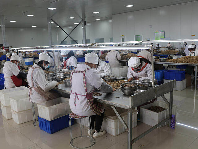 Hebei Suguo International Trade Co., Ltd. company overview - view 2