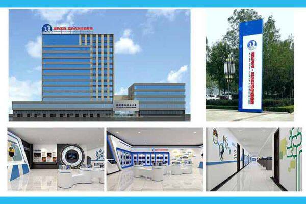 Weifang Binhai Group Work Win Supply Chain Co., Ltd. company overview - view 1