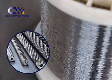 微信图片_20250402100455