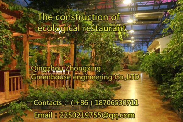 Zhongxing Greenhouse Engineering Co.,Ltd company overview - view 4