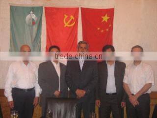 Chongqing Goldenbow Group Power Co., Ltd. company overview - view 3