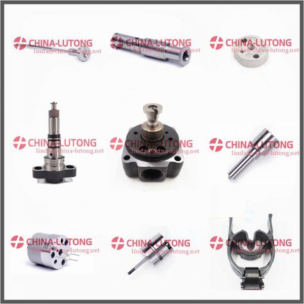 China-lutong Head Rotor Plunger Nozzle Factory company overview - view 2