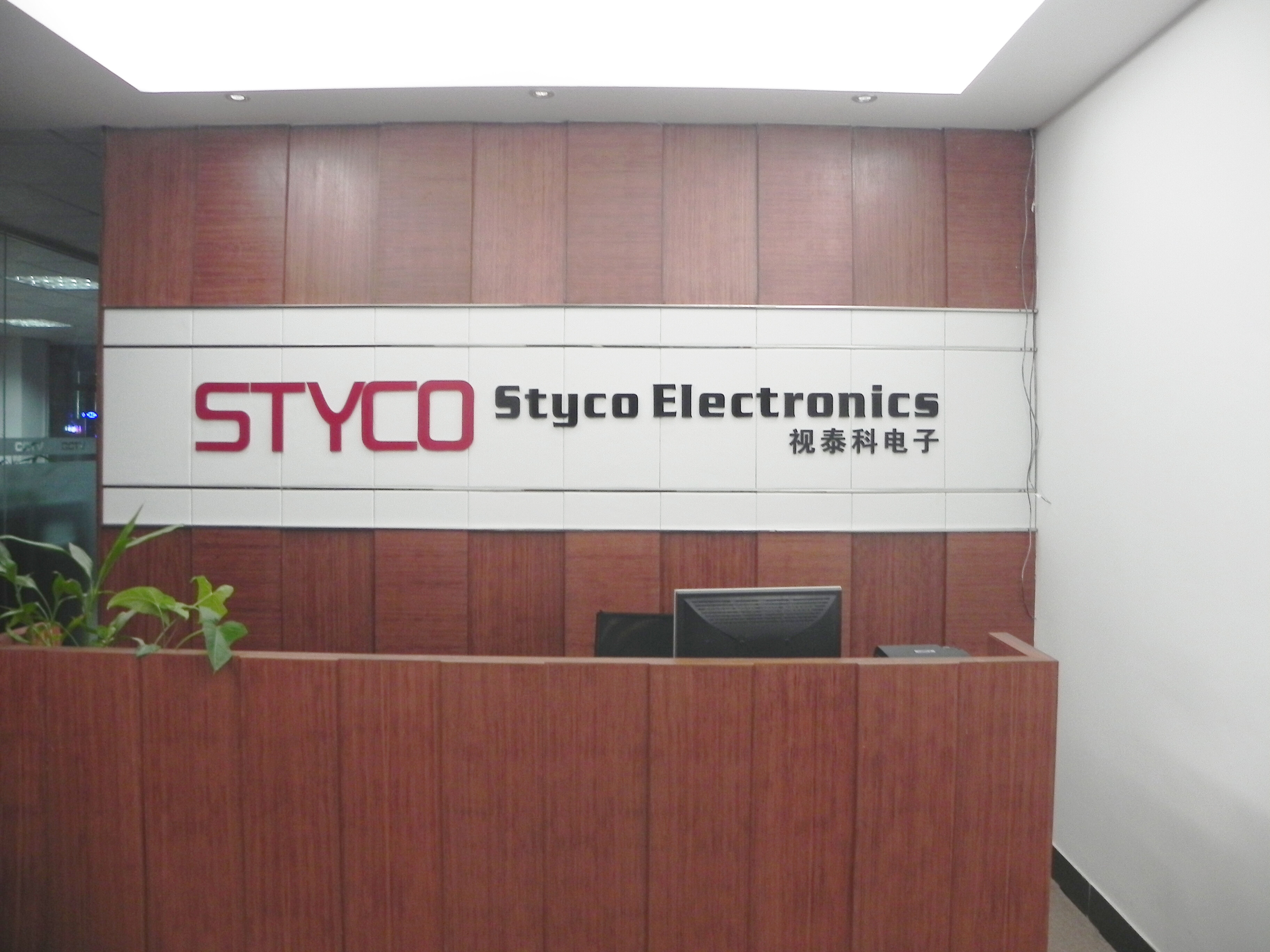 Styco Electronics Company Limited company overview - view 1