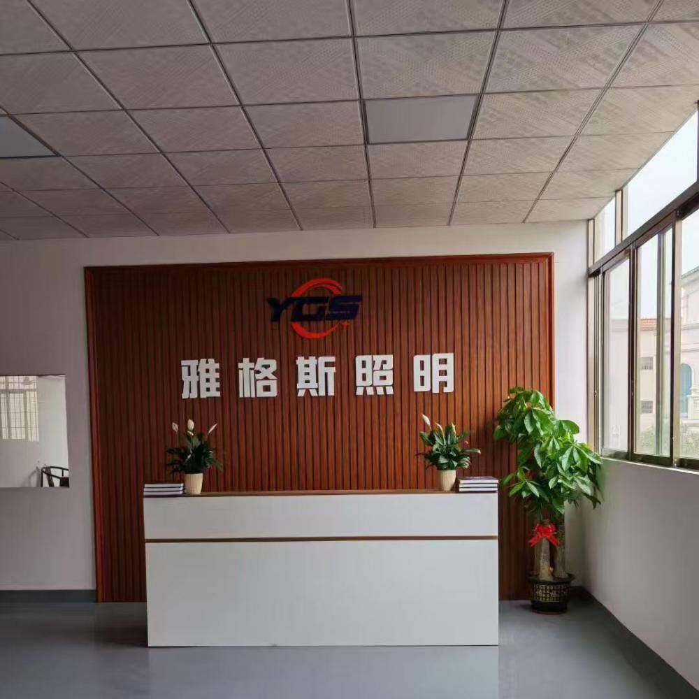 Guangdong Yages Lighting Technology Co., Ltd. company overview - view 1