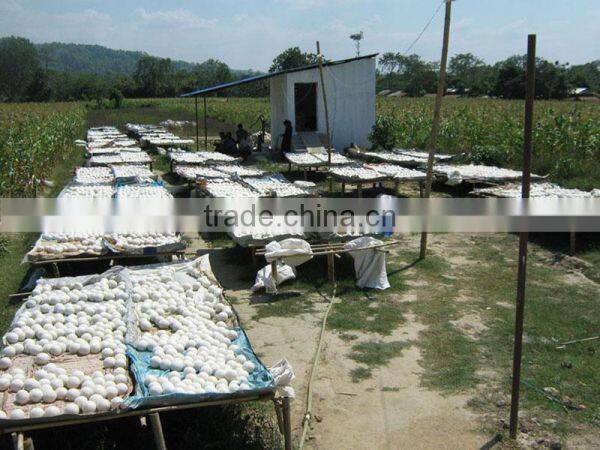 Lost Horizon International Handicraft Industry Pvt. Ltd. company overview - view 3