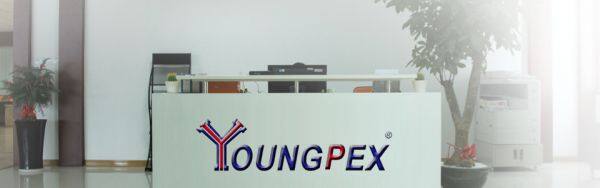 Youngpex company overview - view 1