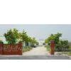 Shenghui Machinery Co., Ltd. company overview - view 1