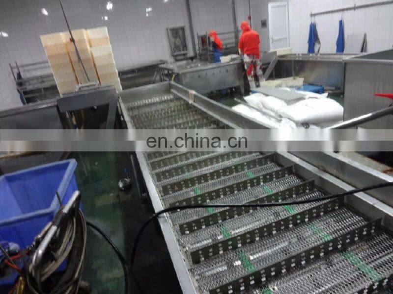 Manufacturer Shanghai Factory automatic TUNA CHUNKS CANNING MACHINE canned fish in oil production line processing plant