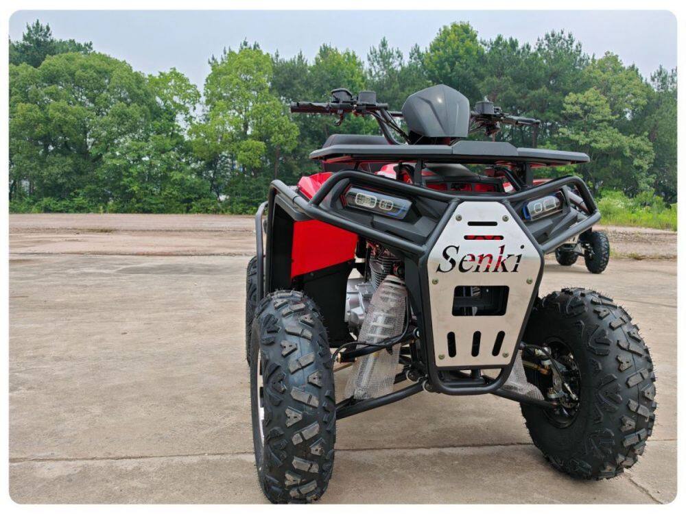 O1CN01t3IX9h23vhRjsl4ca_!!2712847318-0-cib