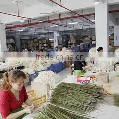 Dongguan Henglin Handicraft Ltd. company overview - view 3