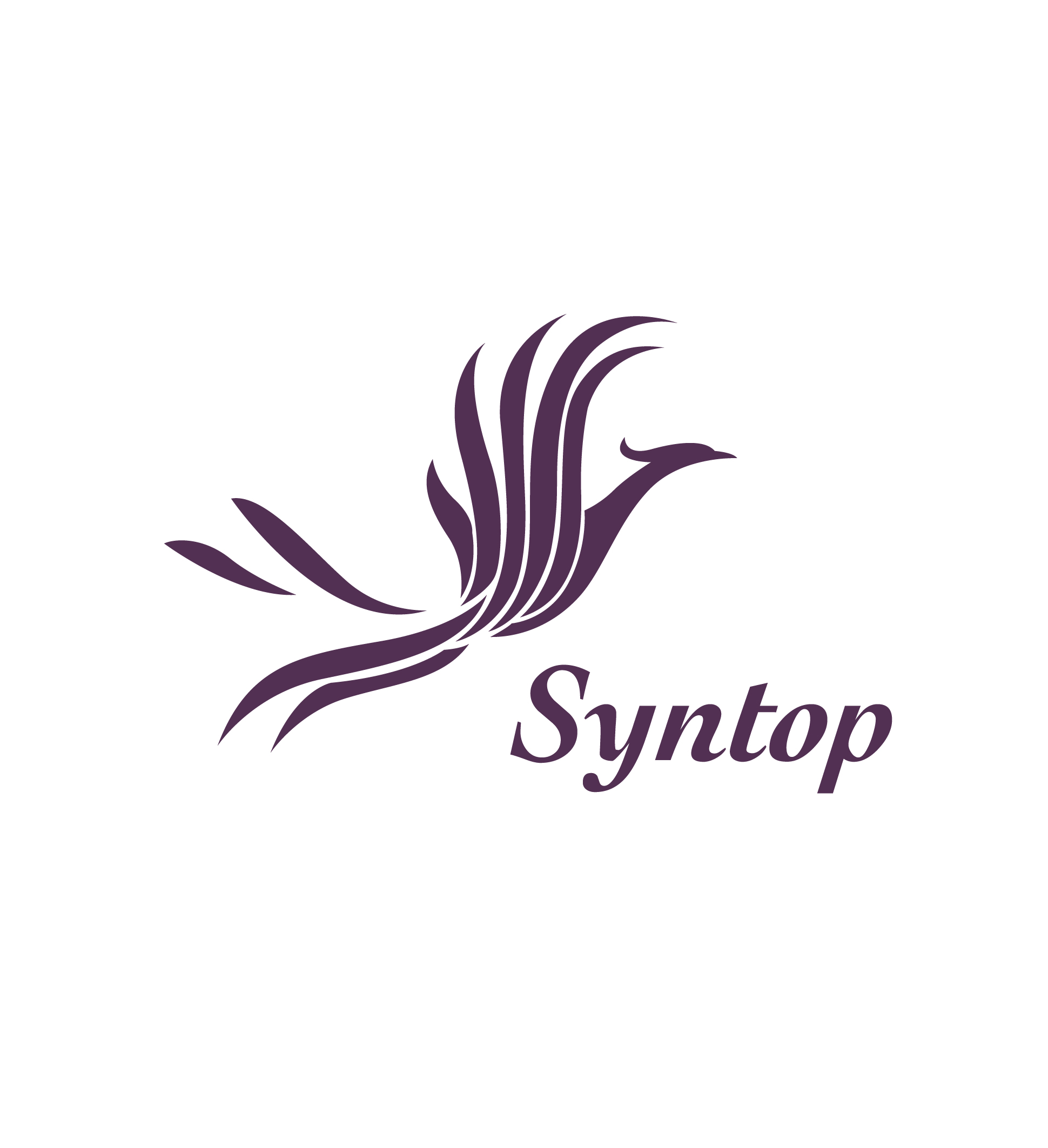 Syntop chemical Co Ltd