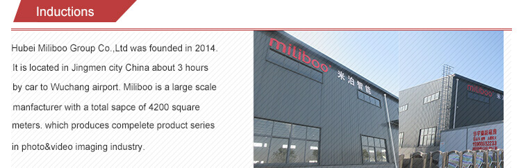 Hubei Miliboo Group Co.,Ltd company overview - view 1