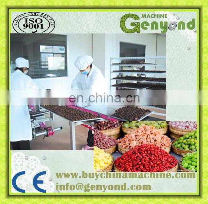 Hot Sale Fruit Drying Line for Dehydrated fruit