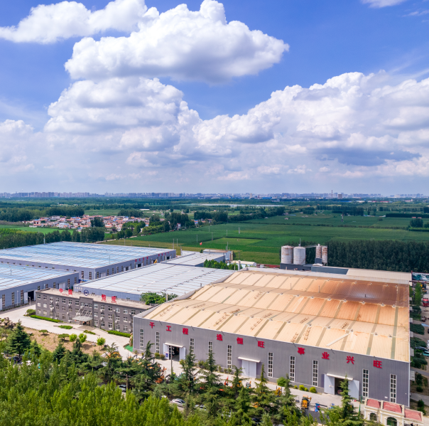 Jining Hengwang Mining Machinery Co., LTD company overview - view 1