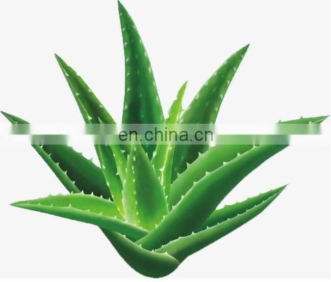 Factory Price  aloe vera peeling machine aloe aloe vera peeling gel with customize logo