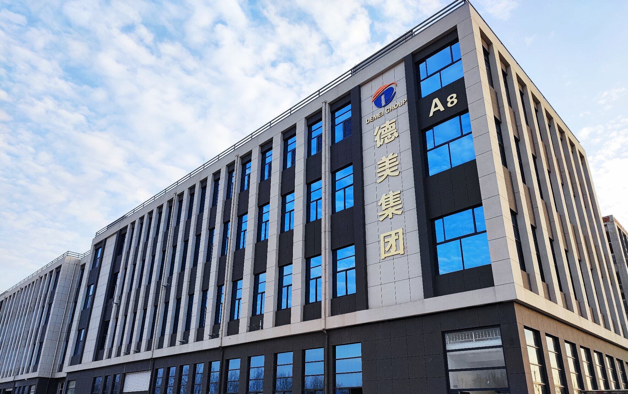 Taian Demei Electromechanical Equipment Co.,LTD. company overview - view 1