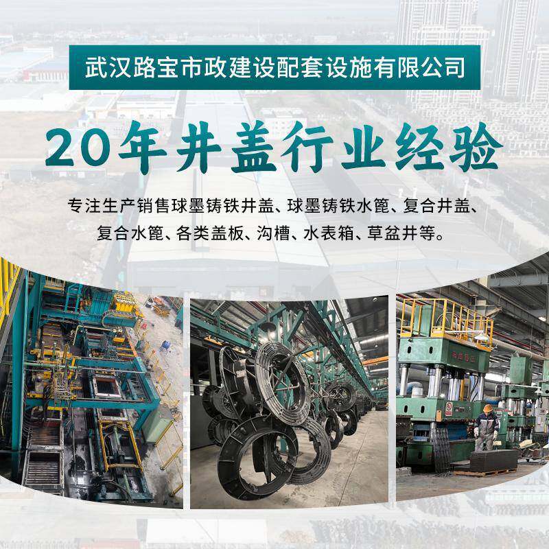 Wuhan Lubao Municipal Construction Supporting Facilities Co., Ltd. company overview - view 1