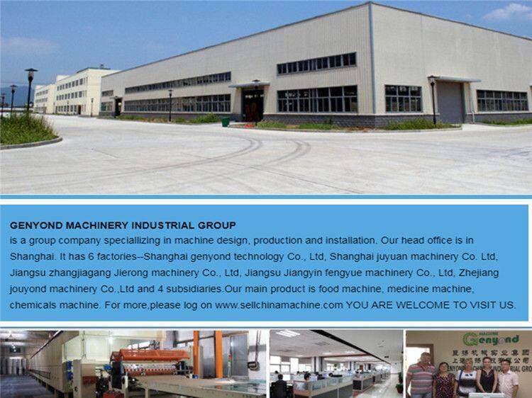 Complete Peach in Syrup Processing Plant / Peach Halves Canning Machine