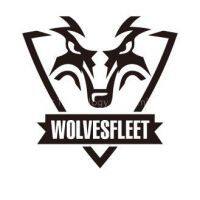 Wolvesfleet Technology Co., Limited