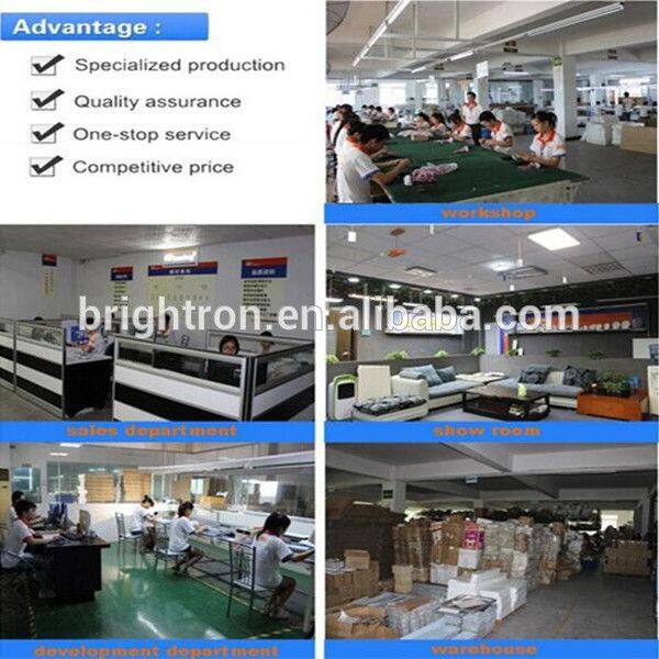 Shenzhen Brightron Lighting Co.,Ltd company overview - view 1