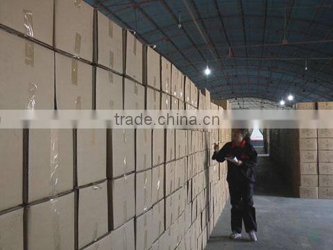 Zhaoxian Tengxing Plastic Fashion Co., Ltd. company overview - view 1