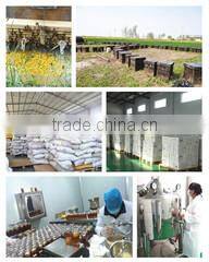 Changge Ruifengfang Bee Products Co., Ltd. company overview - view 2