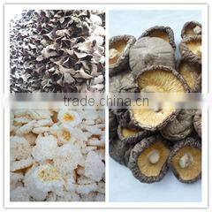 Qingdao Hilda-Jingyi Trading Co., Ltd. company overview - view 3