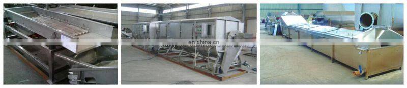 Green peas quick freezing processing machine/frozen vegetable production line machine