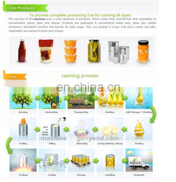 Canned pineapple processing machine Canned pineapple slices production line