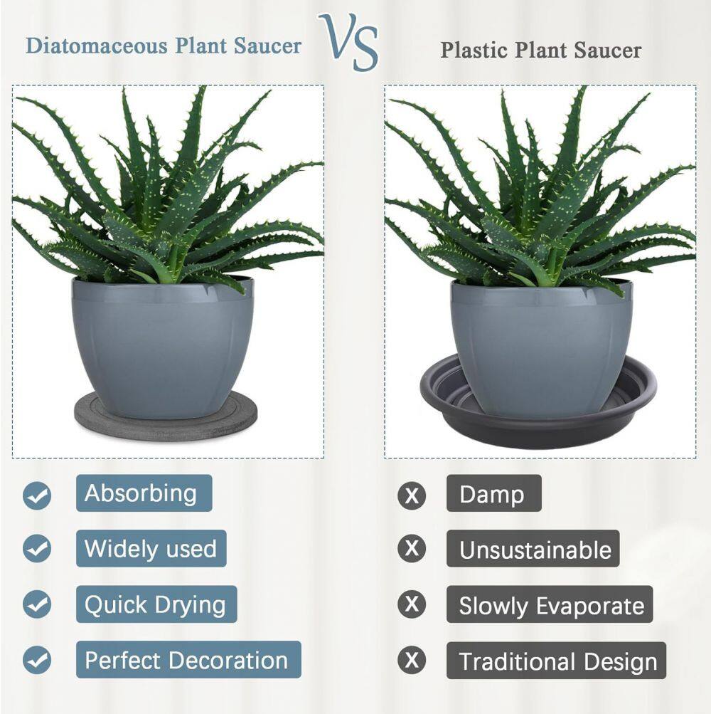 why diatomite stone plant coastes