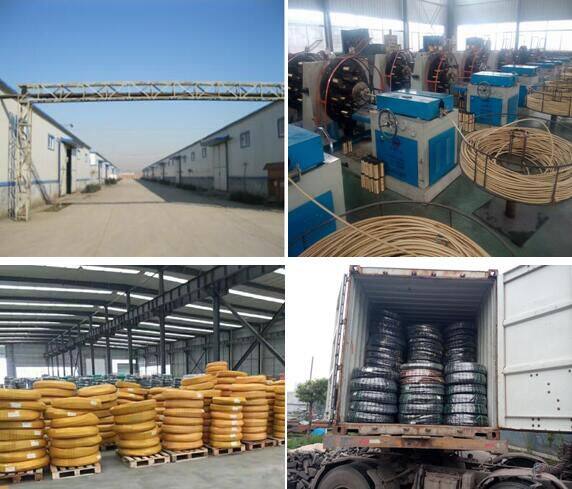 Shandong Focus Hose Co., Ltd. company overview - view 1
