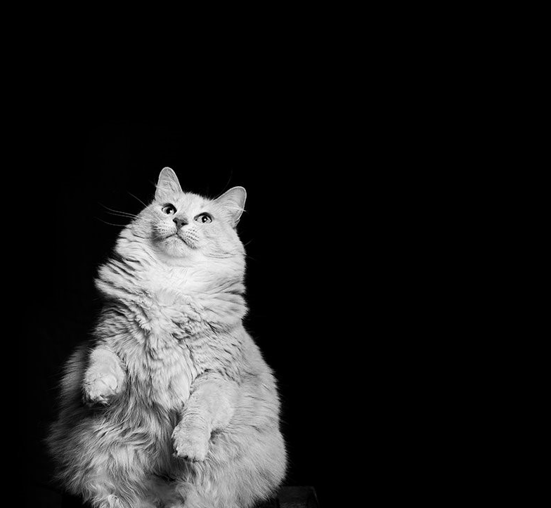 Test123companylalalalall company overview - view 1