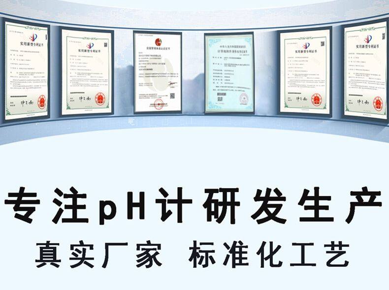 一体式防爆pH计-1_09