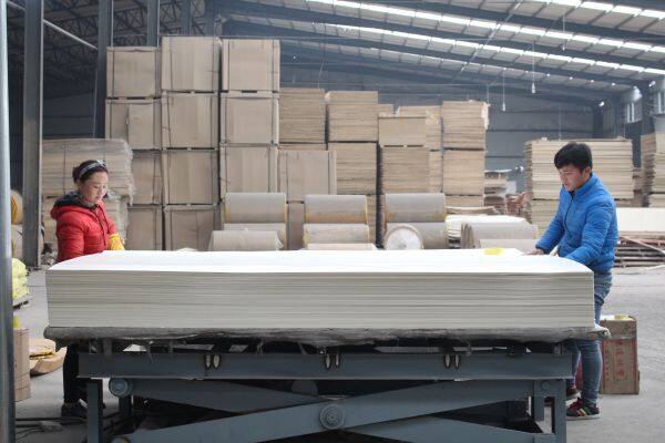 Dongming Sanxin Wood Industry Co.,Ltd company overview - view 3