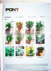 Dongguan Este Industry Co., Ltd. company overview - view 3