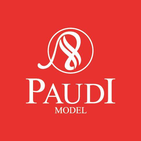 PaudiModel Technology Company Ltd