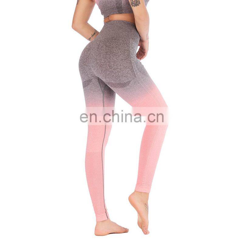 Hot selling sportswear seamless women tights leggings