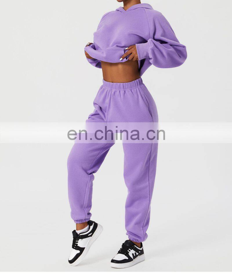 Fall Custom Long Sleeve Casual Warm Fleece Sweatshirt Hoodies Loose Pockets Pullover Tops