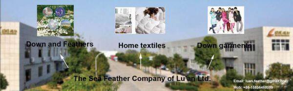 The Sea Feather Limited Company Of Luan company overview - view 1