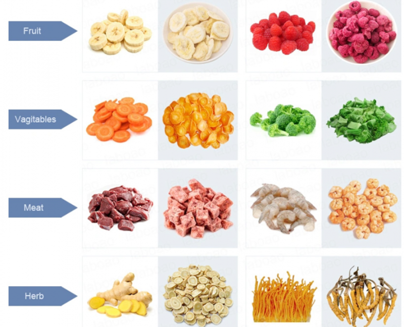 Intelligent Upgrade Freeze Vacuum Drying Machine