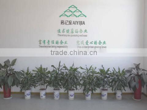 Fujian Aiyijia Electronic Co., Ltd. company overview - view 1