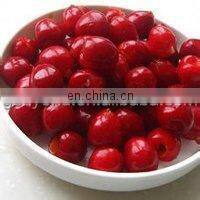 hot sale china cherry pitting machine