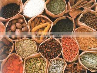 Sunita Exports company overview - view 1